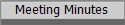 Meeting Minutes